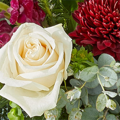 Cranberry Fizz Bouquet – PASSMORE'S FLOWERS, Brantford ON