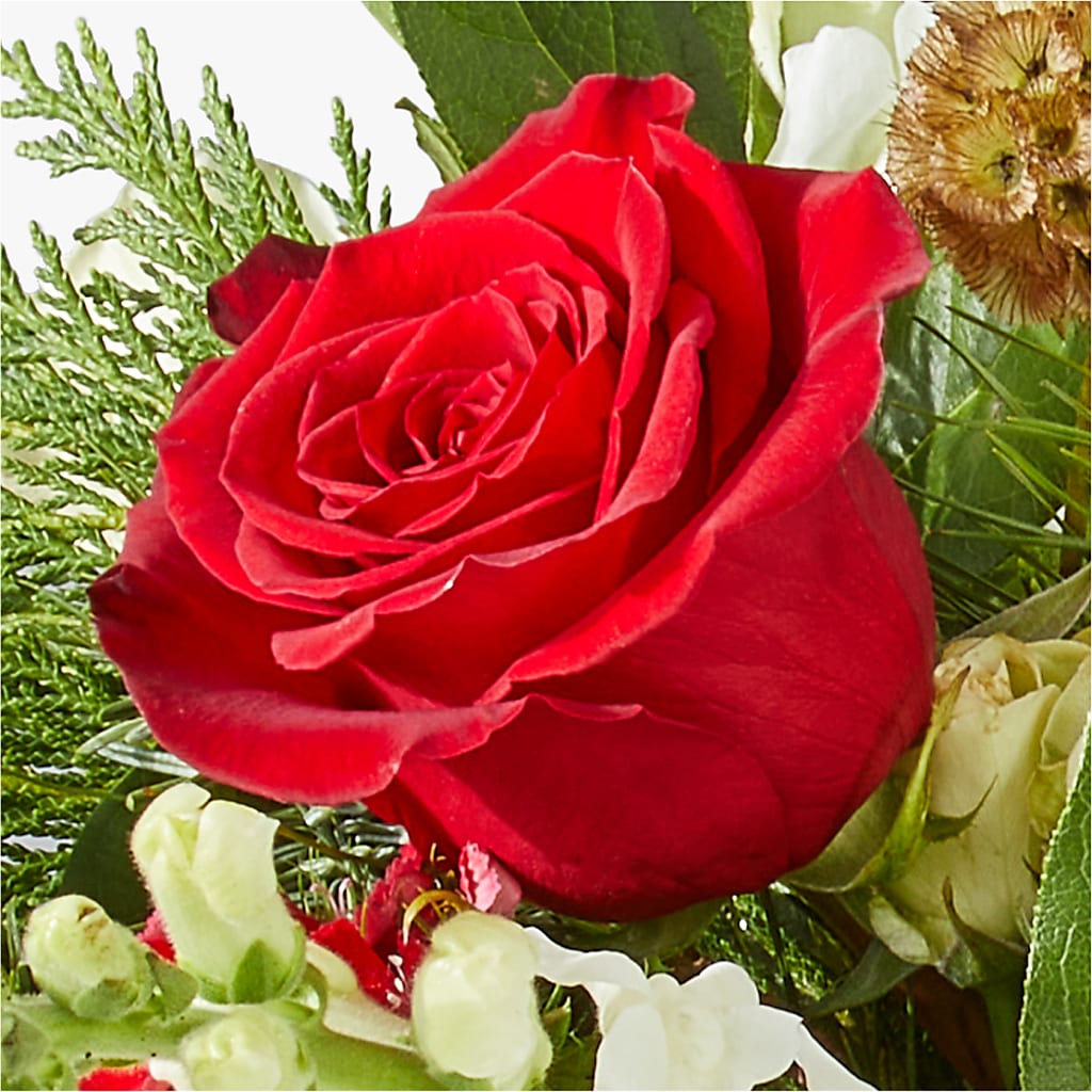 Deck the Halls Bouquet – PASSMORE'S FLOWERS, Brantford ON