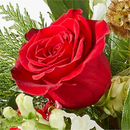 Deck the Halls Bouquet – PASSMORE'S FLOWERS, Brantford ON