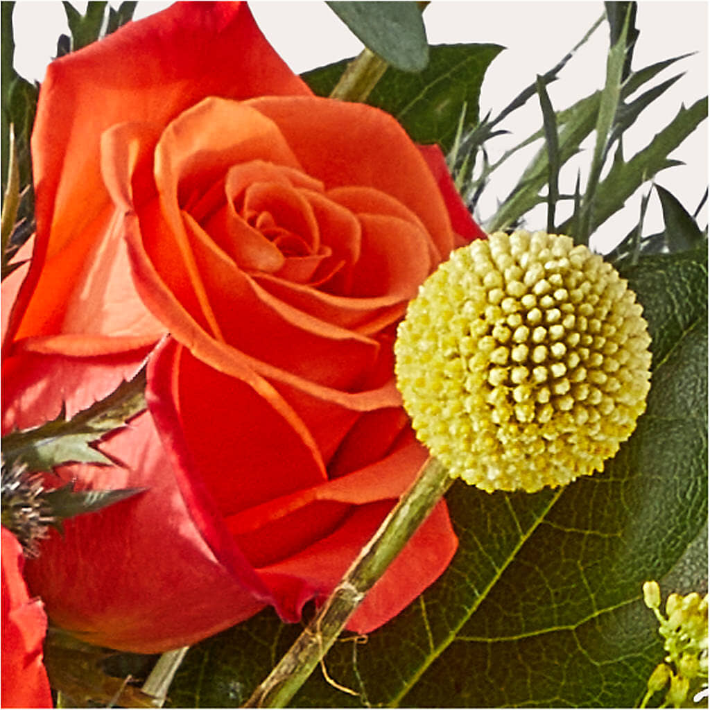Disco Bouquet – PASSMORE'S FLOWERS, Brantford ON