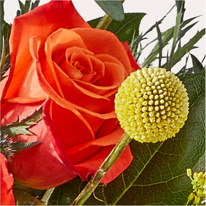 Disco Bouquet – PASSMORE'S FLOWERS, Brantford ON