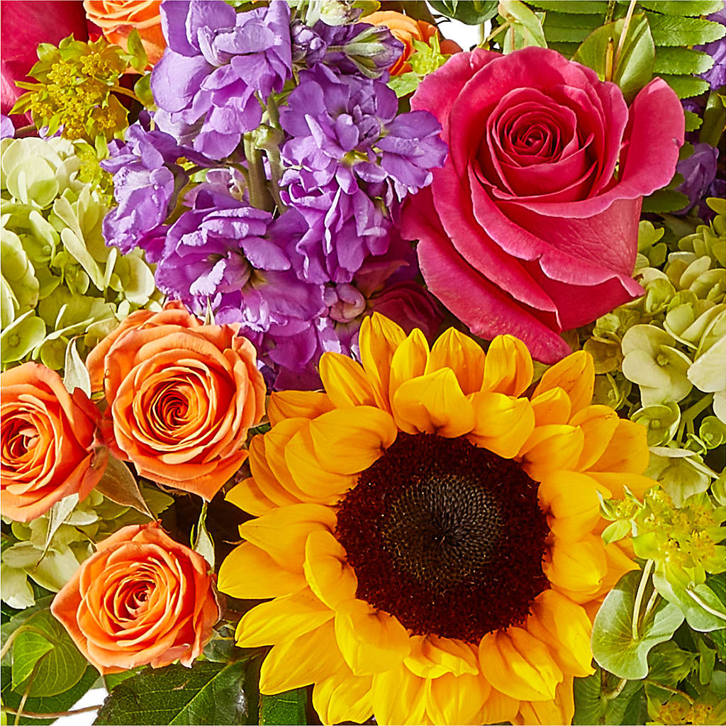 Vibrant Greetings Bouquet – PASSMORE'S FLOWERS, Brantford ON