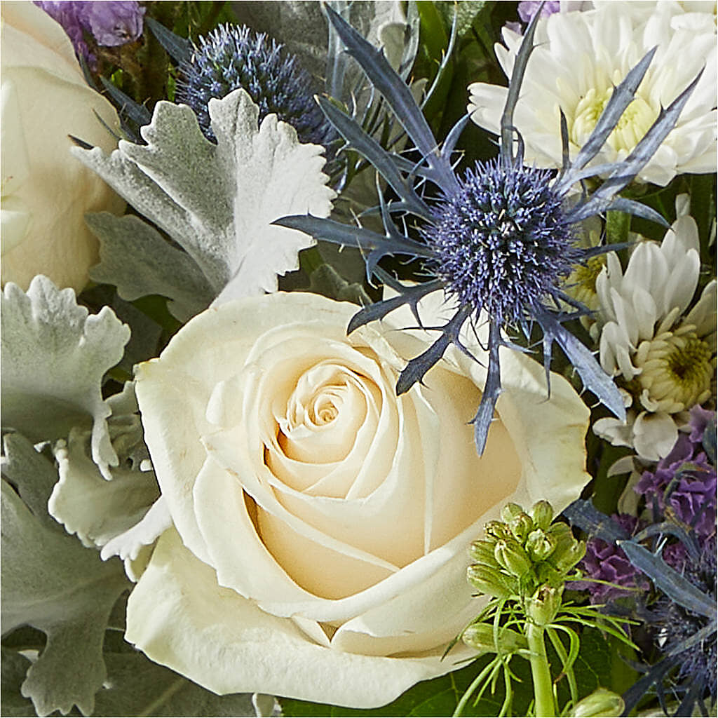 Shooting Star Bouquet – PASSMORE'S FLOWERS, Brantford ON