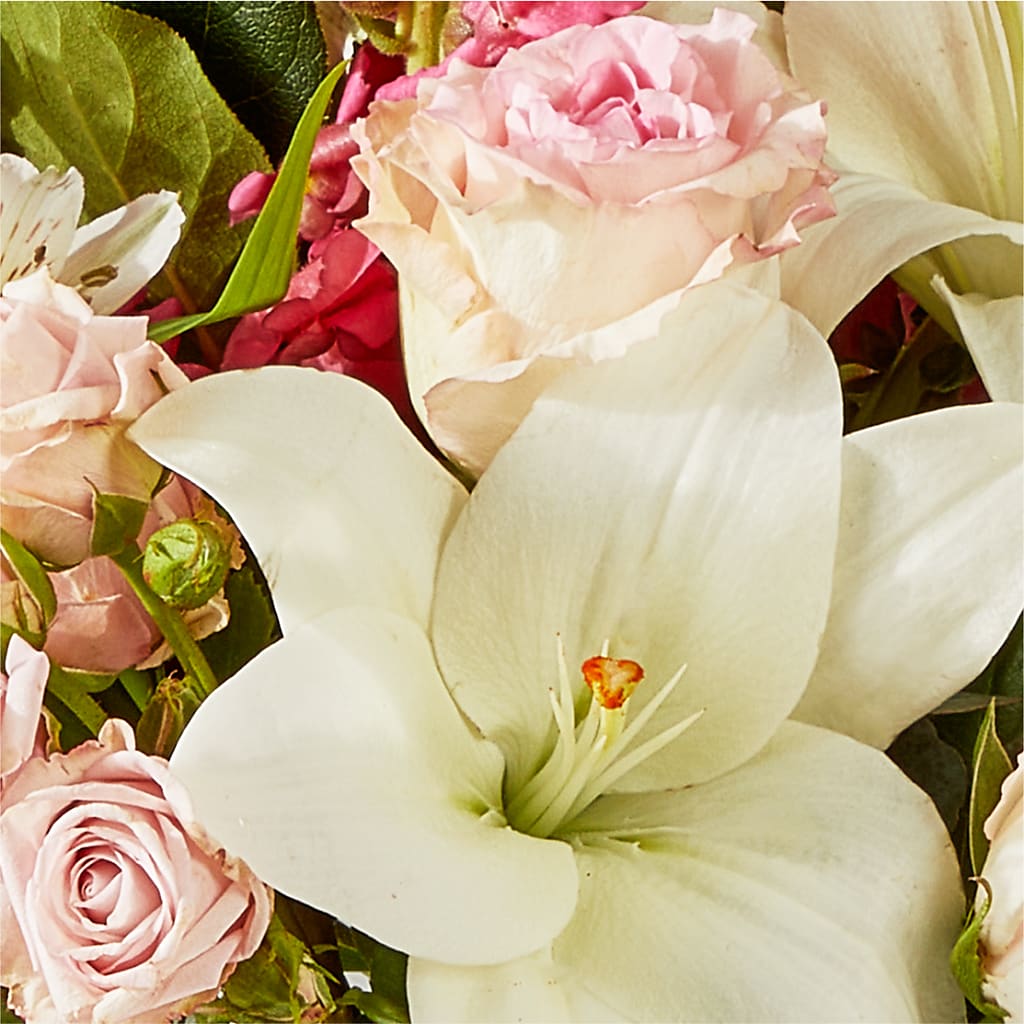Ballet Slippers Bouquet – PASSMORE'S FLOWERS, Brantford ON