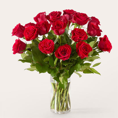 The One Red Rose Bouquet – PASSMORE'S FLOWERS, Brantford ON