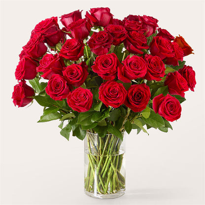 The One Red Rose Bouquet – PASSMORE'S FLOWERS, Brantford ON