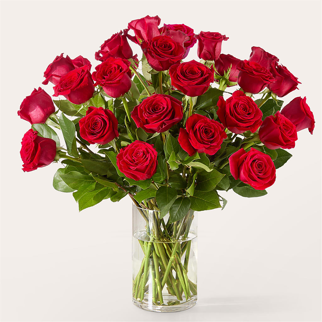 The One Red Rose Bouquet – PASSMORE'S FLOWERS, Brantford ON