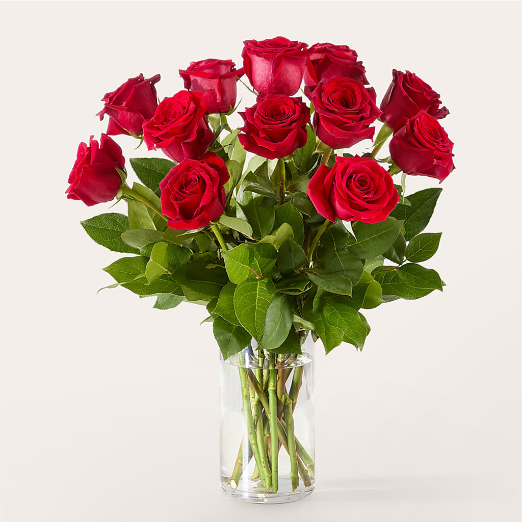 The One Red Rose Bouquet – PASSMORE'S FLOWERS, Brantford ON