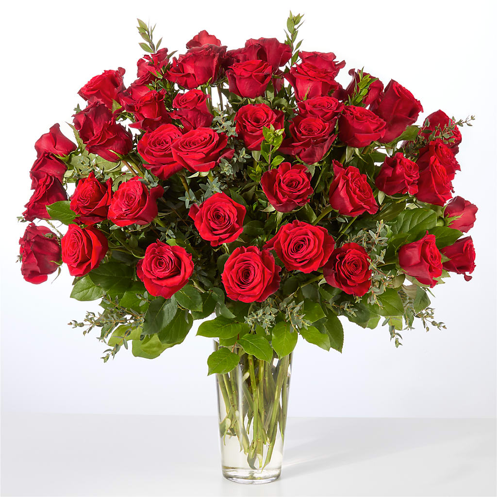 Forever Yours Fifty Stem Red Rose Bouquet – PASSMORE'S FLOWERS, Brantford ON