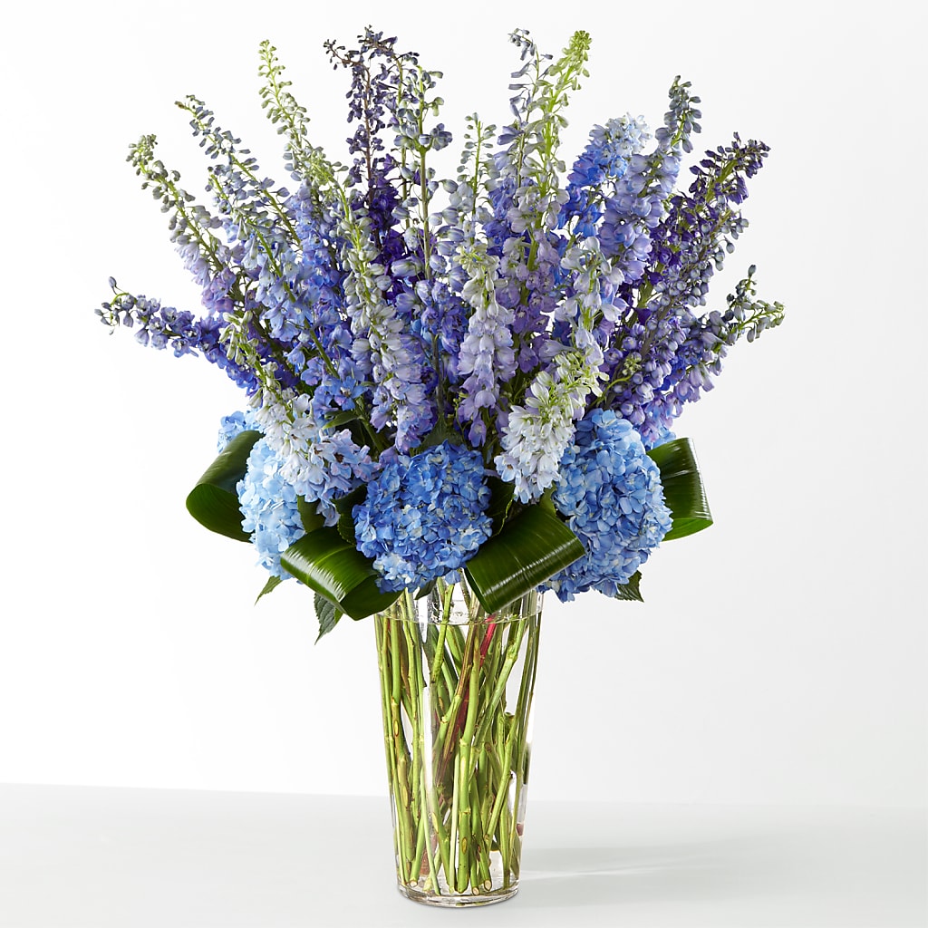 The Editorial – PASSMORE'S FLOWERS, Brantford ON